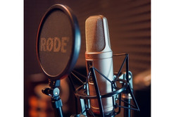 Singing lessons, vocal coaching online or in person