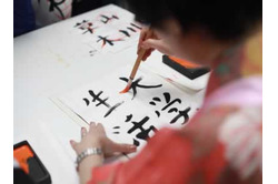 Master the Japanese Language